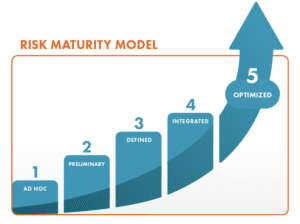Risk Maturity Level (Level Pengukuran Maturitas Risiko)